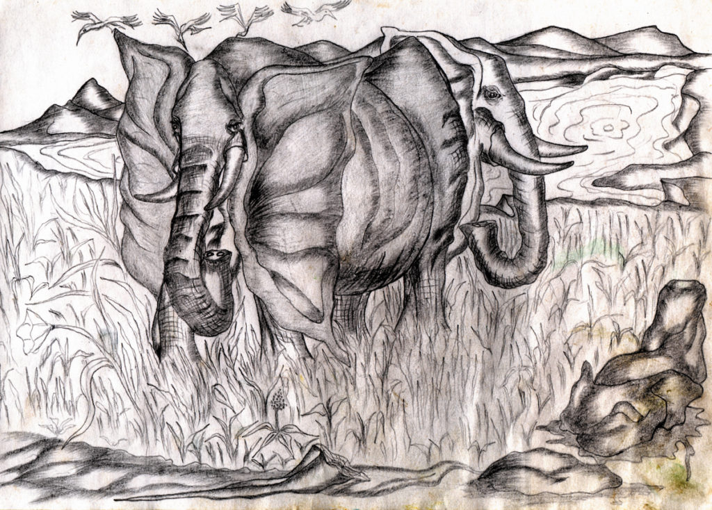 Student's sketch of an elephant